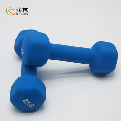 O peso do Gym do treinamento do músculo da aptidão ajustou-se desliza não 1-5KG