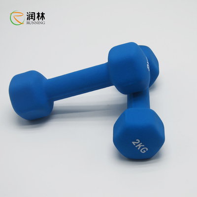 O peso do Gym do treinamento do músculo da aptidão ajustou-se desliza não 1-5KG